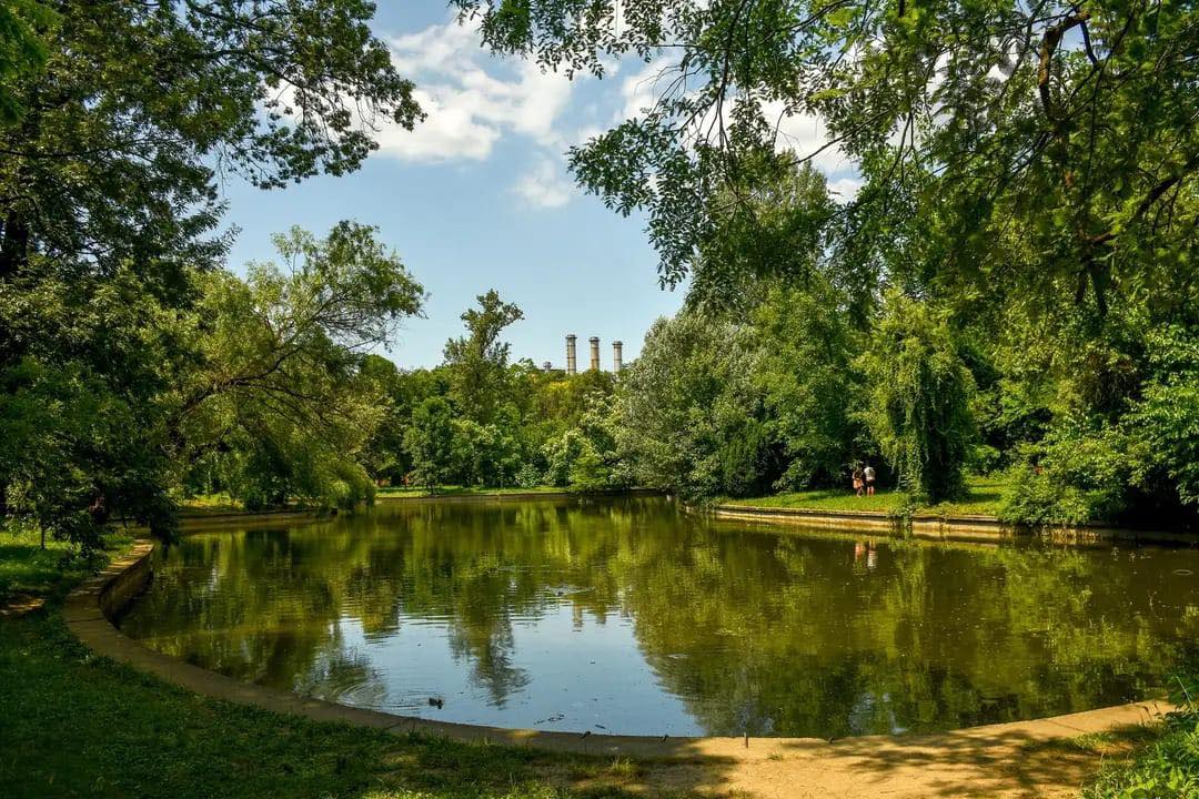 Universitatea din București investește aproape 30.000 de euro pentru evacuarea nămolului din Lacul Grădinii Botanice