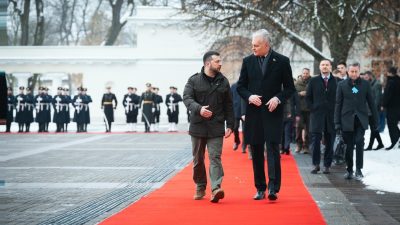 Ucraina și Lituania încheie un parteneriat pentru colaborare în domeniul apărăriiea noastră”