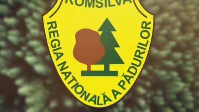 Jean Vişan, recent numit director provizoriu la Romsilva