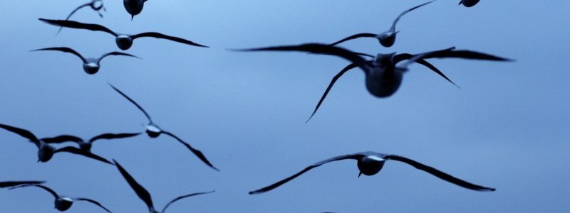 Jokerproproduction-Dreamstime.jpg - JurnalUrban