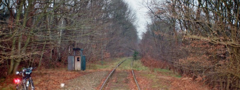 Rinul-de-Fier.jpg - JurnalUrban