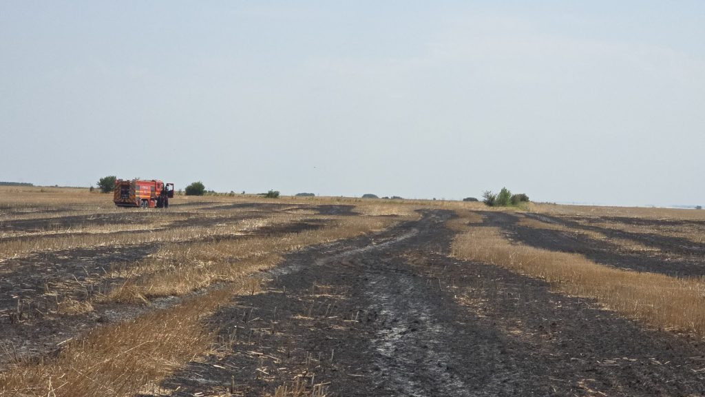 Ilfov | Foc devastator de vegetație în zona învecinată comunei Berceni, cu afectarea a circa 40 de hectare de teren.