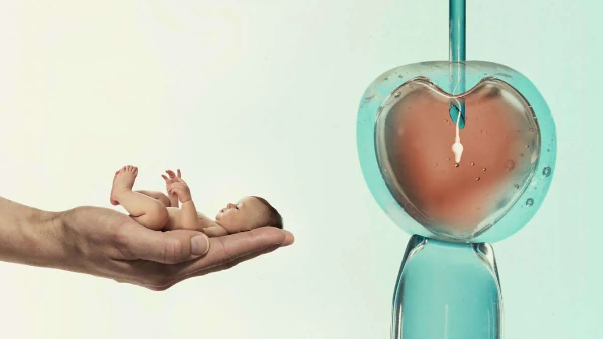Sectorul 2 oferă 400.000 de euro pentru familiile care doresc să devină părinți. Află cum se acordă sprijinul pentru fertilizare in vitro (FIV) și care sunt detaliile programei de ajutor.