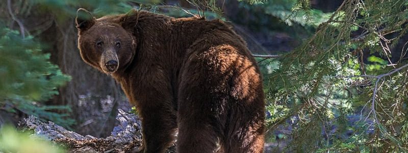 dreamstime_s_52070584.jpg - JurnalUrban