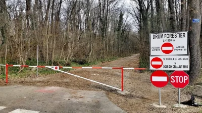 Numeroase organizații solicită oprirea construcției drumului pentru autovehicule în pădurea Băneasa
