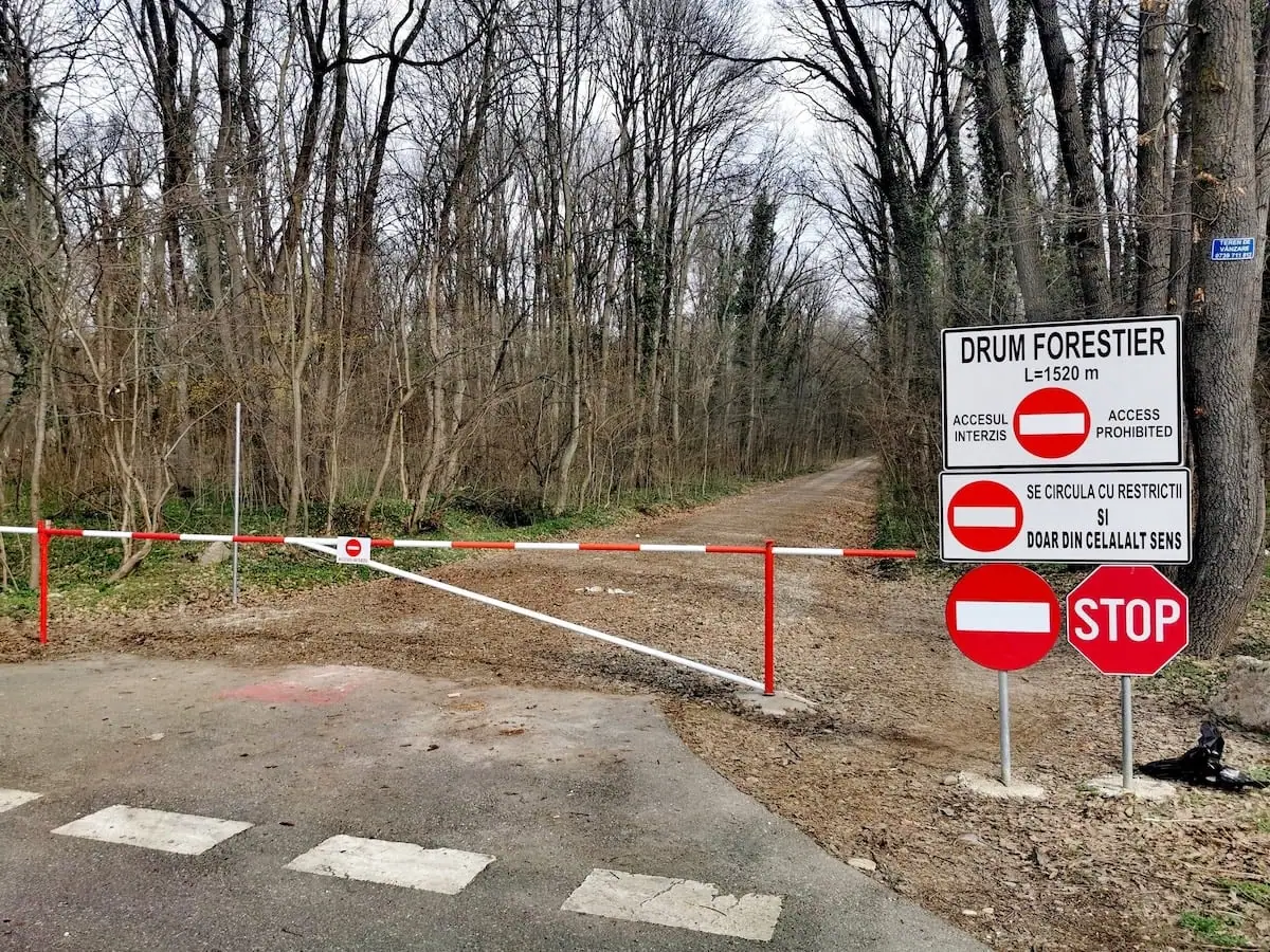 Numeroase organizații solicită oprirea construcției drumului pentru autovehicule în pădurea Băneasa