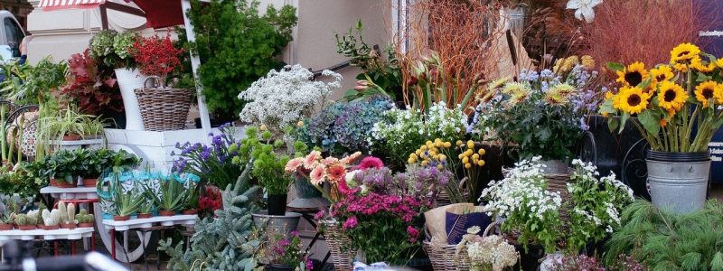 flower-shop-g8f572f953_1280.jpg - JurnalUrban