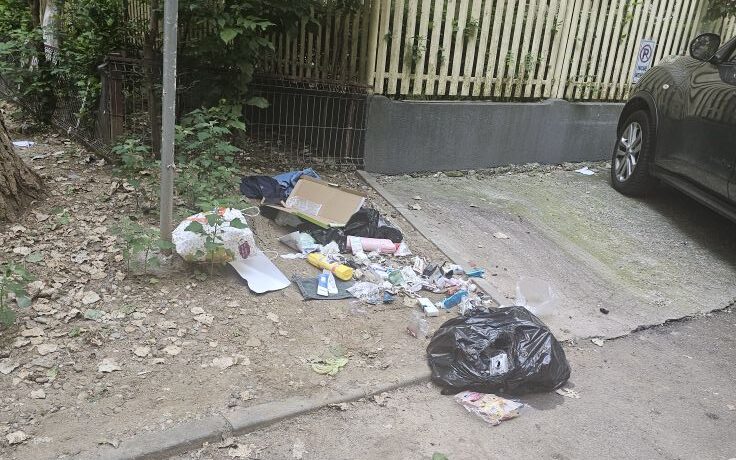 Costurile deșeurilor aruncate pe domeniul public de locuitorii Bucureștiului (IV): 432 de tone de apă consumate zilnic pentru curățare în Sectorul 2