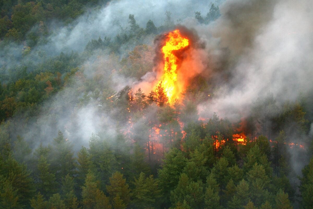 România trimite în Spania o delegație de 51 de pompieri specializați în combaterea incendiilor forestiere, în contextul deteriorării a sute de mii de hectare din cauza incendiilorea noastră”