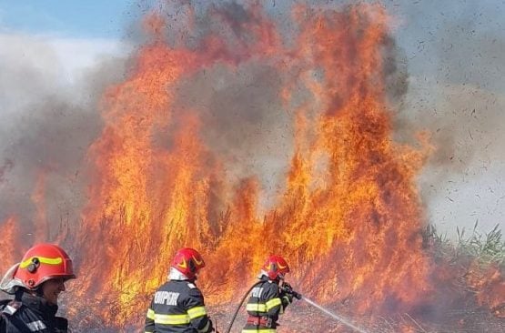 Incendiul din Delta Dunării, în zona Sireasa, a fost lichidat; aproximativ 50 de hectare de teren au fost afectateea noastră”