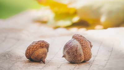 Prognoza meteorologică: sfârșitul lunii august aduce temperaturi ușor mai scăzute în sud, est și centru, în timp ce primele trei săptămâni din septembrie se anunță mai calde decât de obiceiea noastră”