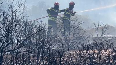 Incendiu de vegetație în pădurea din Vâlcea; traficul restricționat pe DN 7 în zona Golești din cauza fumului densea noastră”