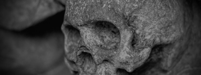 schelet-craniu.jpeg - JurnalUrban