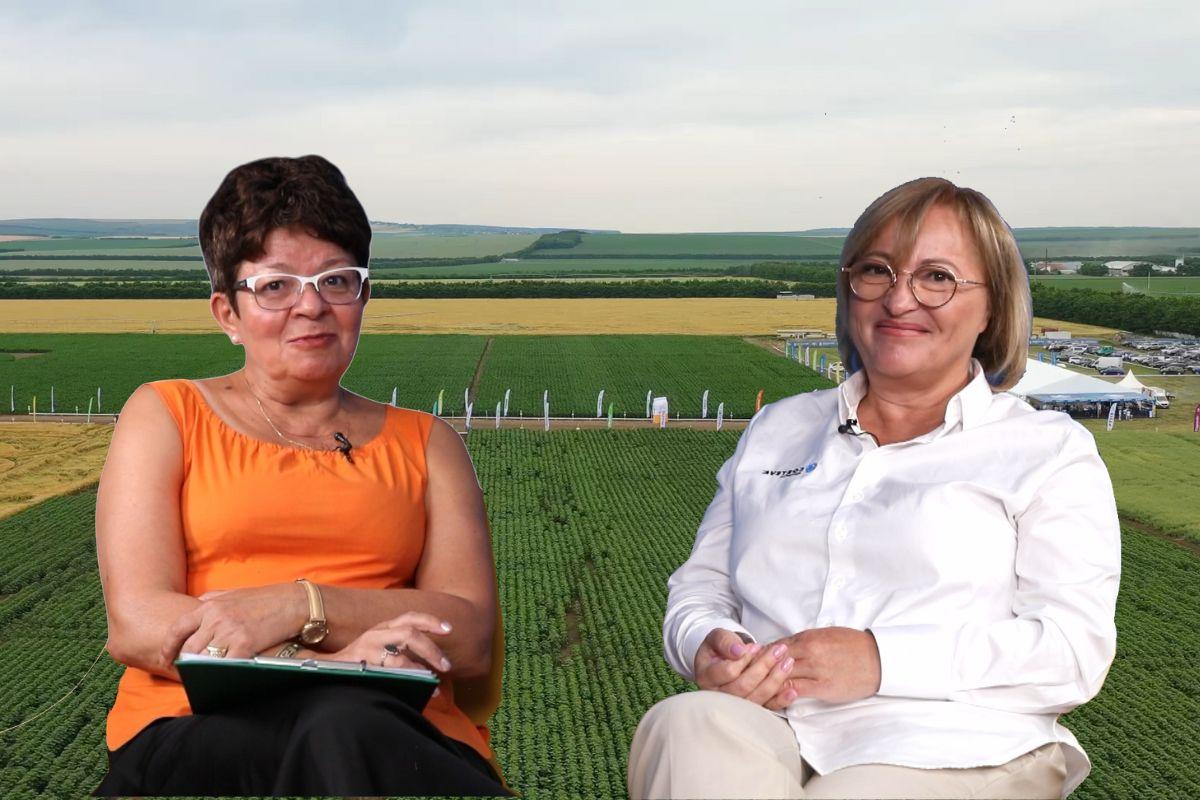 Videoclip | Transformări în agricultura românească | Pierdere de un milion de hectare de porumb în ultimii trei ani / Maria Cîrjă de la Corteva: „Fermierii caută culturi rentabile, însă schimbările climatice le pun în dificultate”ea noastră”