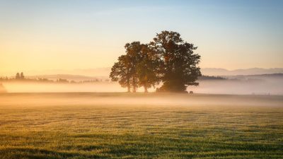 Dimineața cea mai rece de vară în Moldova: Temperaturi de numai 7 grade Celsius la Bacăuea noastră”