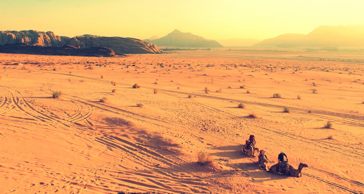 Record de aproape 50 de grade Celsius într-un oraș din Sahara Occidentală, cea mai ridicată temperatură din luna augustea noastră”