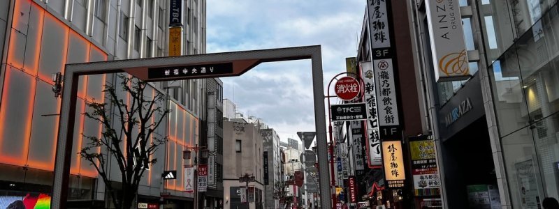 zona-comerciala-tokyo-japonia-oameni-in-japonia-tokyo-japonia-magazine-japonia.jpeg - JurnalUrban