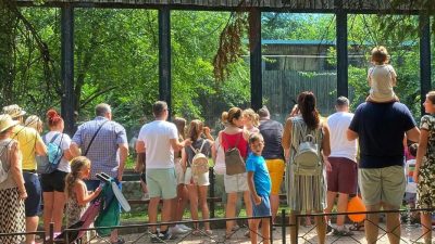 Consultare publică privind tarifele și programul de funcționare al Grădinii Zoologice