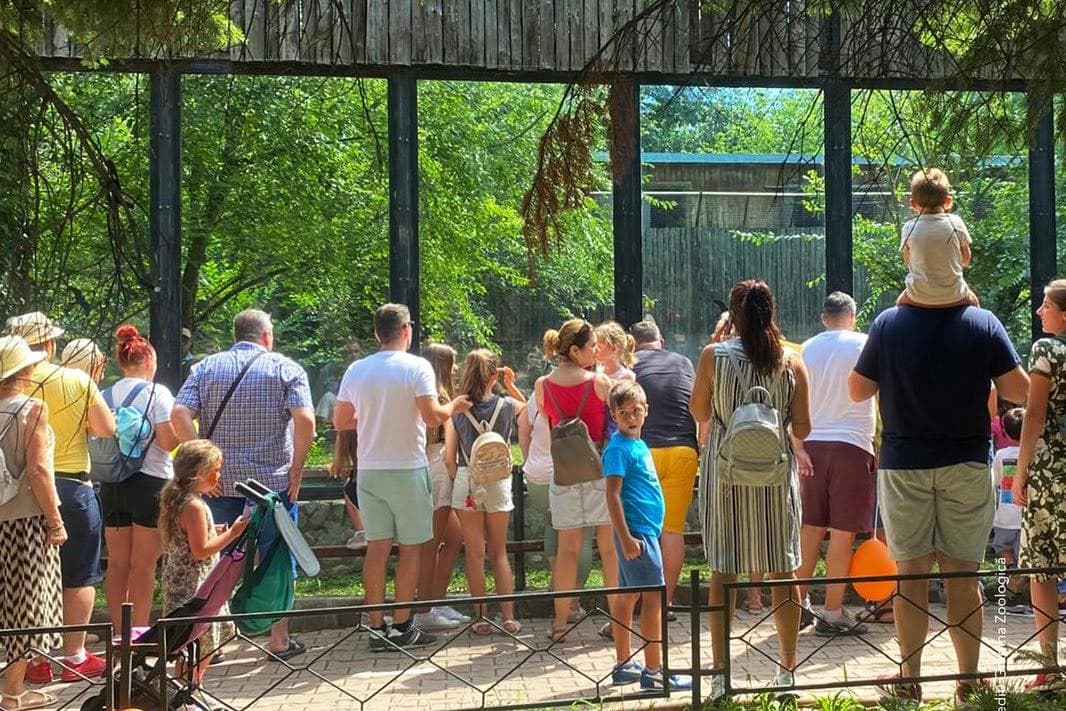 Consultare publică privind tarifele și programul de funcționare al Grădinii Zoologice