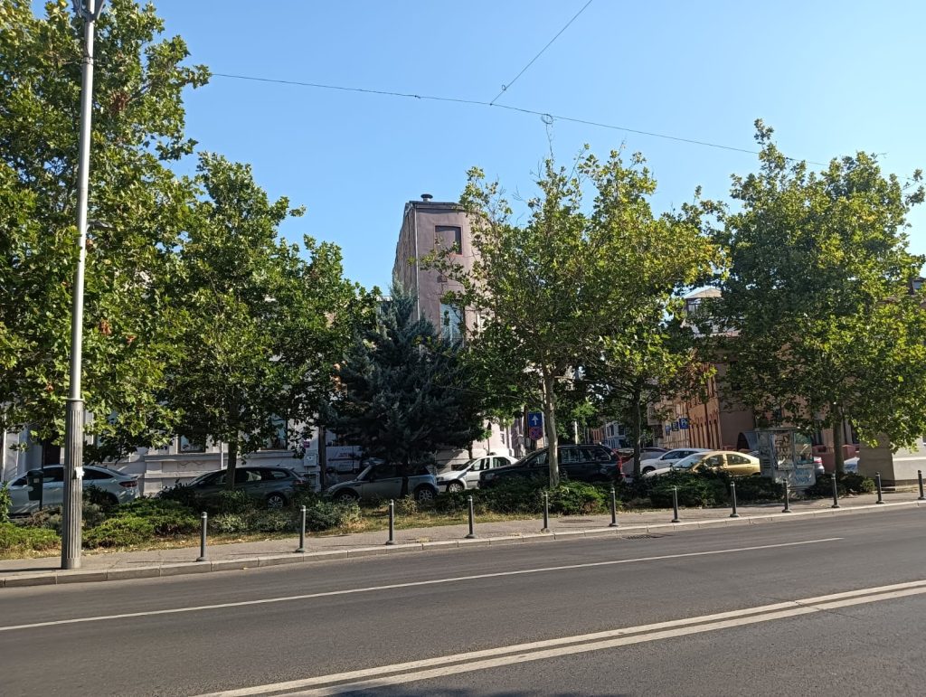 Sector 1 | Mai multe zone pot fi îngrijite de cetățeni prin inițiativa „Adoptă un spațiu verde”