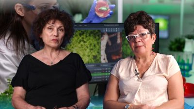 VIDEO | Produse false pentru protecția plantelor comercializate pe internet / Carmen Botez, director executiv al Asociației Producătorilor de Produse pentru Protecția Plantelor: „Aceste substanțe contrafăcute depășesc o problemă economică, fiind un real pericol”ea noastră”