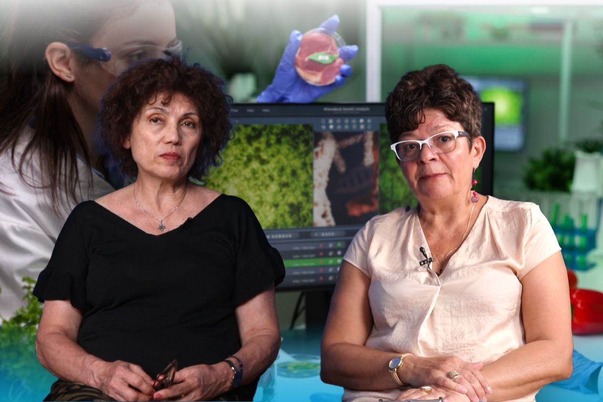 VIDEO | Produse false pentru protecția plantelor comercializate pe internet / Carmen Botez, director executiv al Asociației Producătorilor de Produse pentru Protecția Plantelor: „Aceste substanțe contrafăcute depășesc o problemă economică, fiind un real pericol”ea noastră”