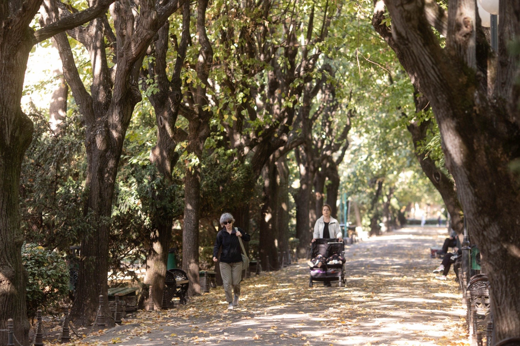 Prognoza meteo pentru săptămâna viitoare: vreme răcoroasă, ploi, vânt și ninsori la altitudini înalte, cu temperaturi maxime de până la 22 de grade Celsiusea noastră”