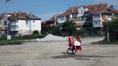 Impactul războiului din Ucraina asupra numărului de turiști în Delta Dunăriiea noastră”