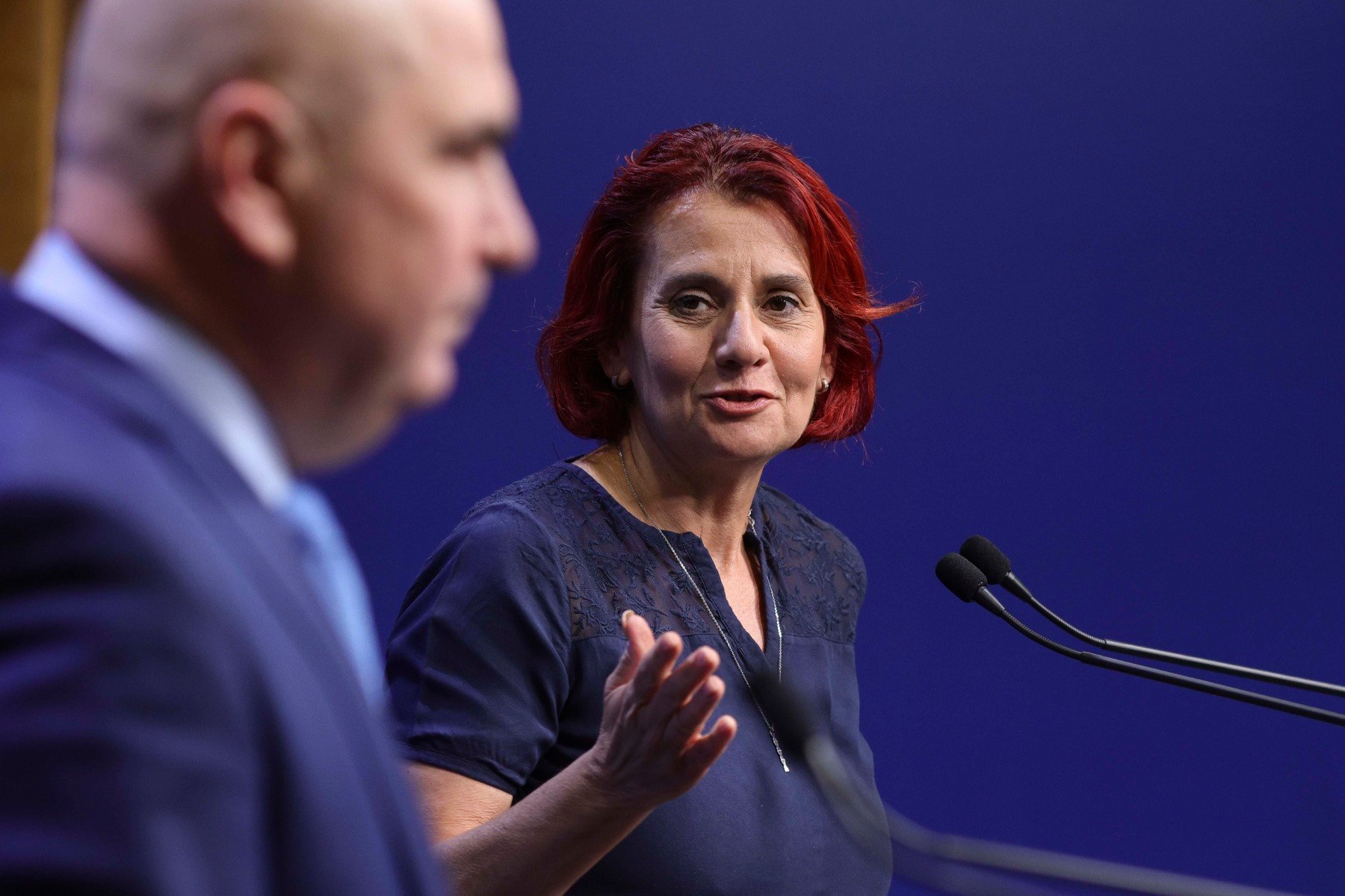 Ioana Dogioiu despre renunțarea la criteriile de numire a șefului Corpului de Control: Premierul a considerat că acestea erau prea restrictive și puteau limita alegerea unei persoane competenteea noastră”