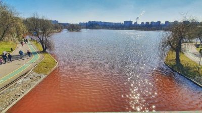 Mii de elevi din Harghita participă la acțiunile de marcarea pasărilor la Lacu Roșu, organizate de Parcul Național Cheile Bicazului-Hășmașea noastră”