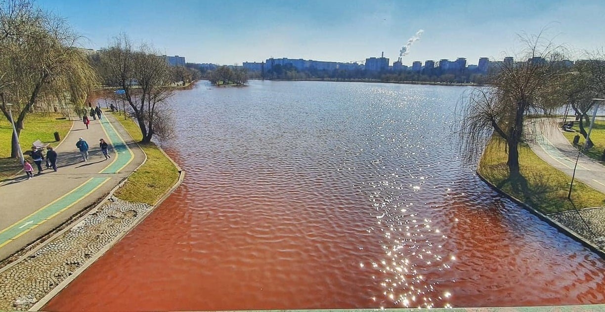 Mii de elevi din Harghita participă la acțiunile de marcarea pasărilor la Lacu Roșu, organizate de Parcul Național Cheile Bicazului-Hășmașea noastră”