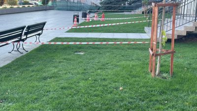 Drama din Vaslui: un copil a pierdut viața după ce a pășit pe un sistem de iluminare subteran din zona centrală a localității, în timp ce se plimba desculț și ținându-se de mână cu părintele său, prin zona ierboasă.
