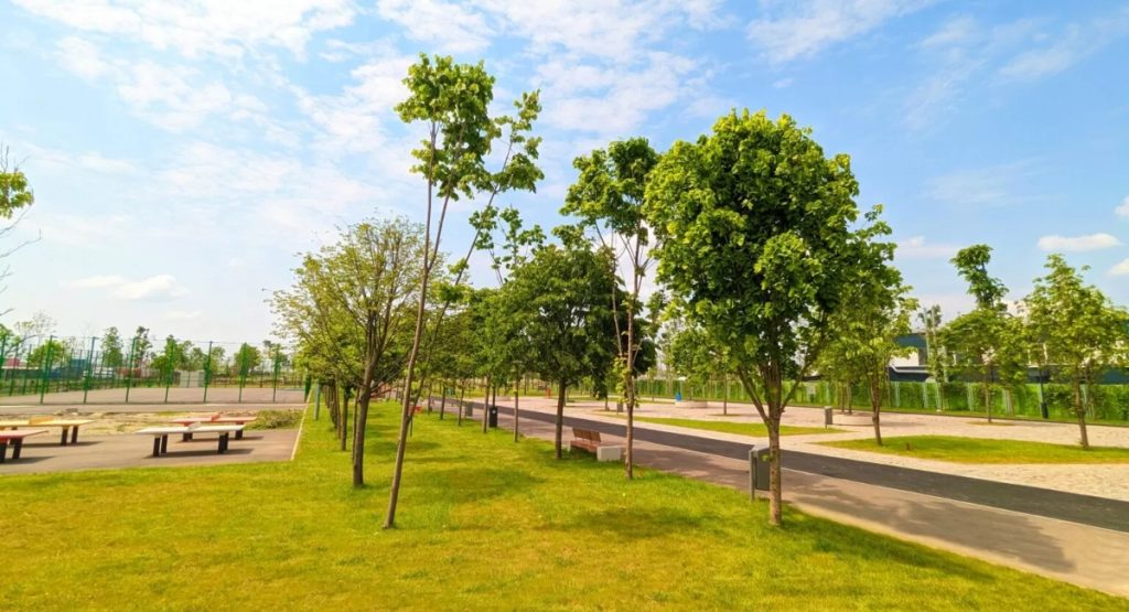 [ad_1] Lucrările de extindere a parcului Tudor Arghezi din Sectorul 4 încep pentru a adăuga patru hectare de spații verzi și facilități moderne Este în curs de desfășurare proiectul de extindere a parcului Tudor Arghezi, situat la intersecția dintre Bulevardul Metalurgiei și Drumul Dealul Bisericii