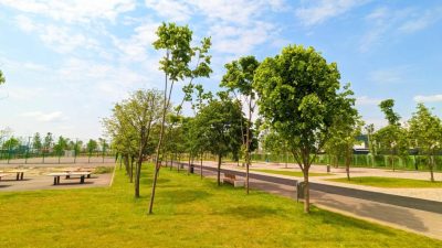 Sector 4 | Extinderea parcului Tudor Arghezi: noi zone verzi în curs de amenajare