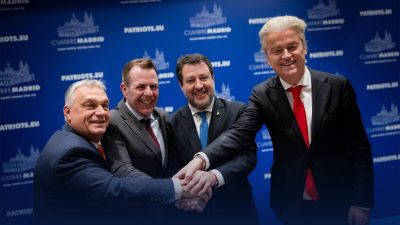 Parlamentul European investighează acuzații de cheltuieli abuzive de 4 milioane de euro din partea grupului de extremă dreaptă Patrioți pentru Europa, legate de fostul partid Identitate și Democrație, considerat predecesorul acesteiaea noastră”