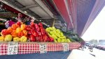 Prețurile legumelor pentru murături în Piața Obor din București, septembrie 2025: varza începe de la 2,90 lei pe kilogram, iar roșiile ajung și la 15 lei pe kilogramea noastră”