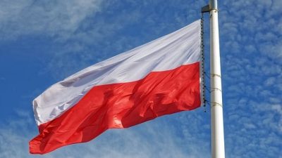 Un reprezentant al Bancii Nationale a Poloniei identifica justificari pentru scaderea ratei dobanzii, insa semnaleaza potentialul risc