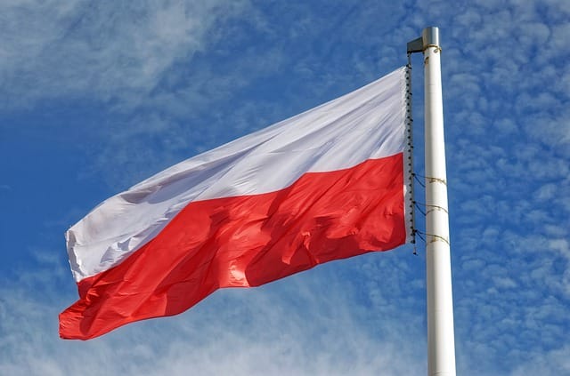 Un reprezentant al Bancii Nationale a Poloniei identifica justificari pentru scaderea ratei dobanzii, insa semnaleaza potentialul risc