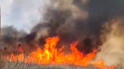 Incendiu de vegetație devasta 11 case din Giurgiu, fiind favorizat de vânt și materiale inflamabile, cu trei locuințe grav avariateea noastră”