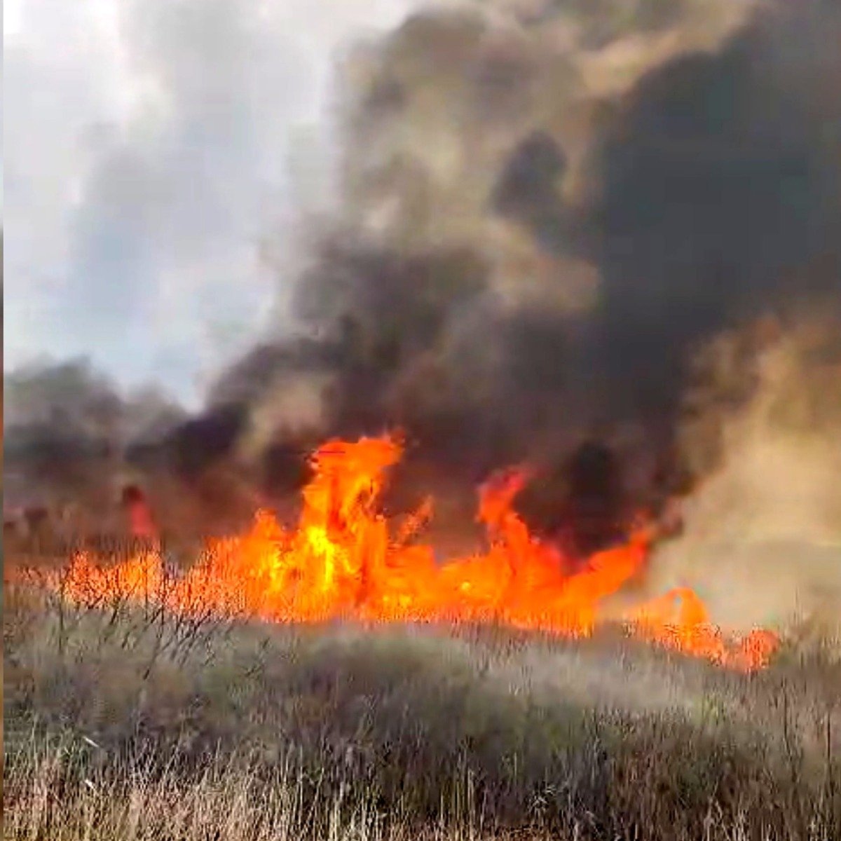 Incendiu cu fum dens în zona Ploieștiului, extins pe o suprafață de 80 de hectareea noastră”
