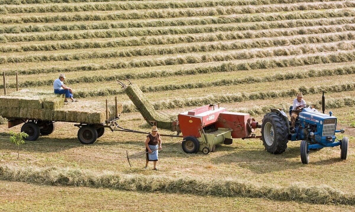 Fermierii din Grecia au primit ilegal peste 22 de milioane de euro din fonduri europene, în urma unei anchete inițiate de Parchetul European condus de Laura Codruța Kovesiea noastră”