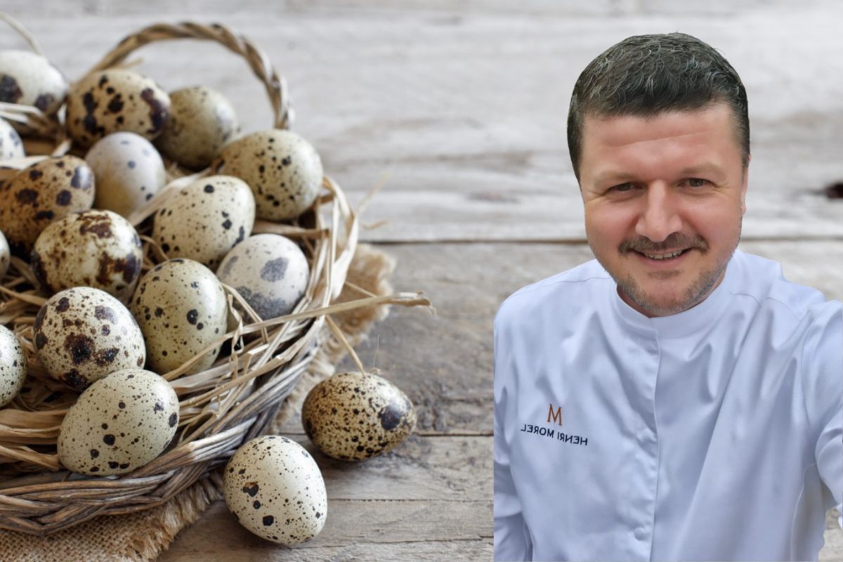 Ouăle de prepeliță, o alegere nutritivă și elegantă în locul ouălor de găină / Beneficii pentru sănătate și rețete ușoare de la un bucătar dintr-un restaurant parizian: „Acestea adaugă rafinament în bucătăria franțuzească și sunt o adevărată perla gastronomică”ea noastră”