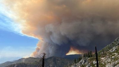 Incendiu de vegetație pune în pericol pădurea millionară de sequoia din California, cu o vechime de peste două milenii / Flăcările din Incendiul Garnet continuă să ardă în Pădurea Națională Sierra de mai bine de două săptămâniea noastră”
