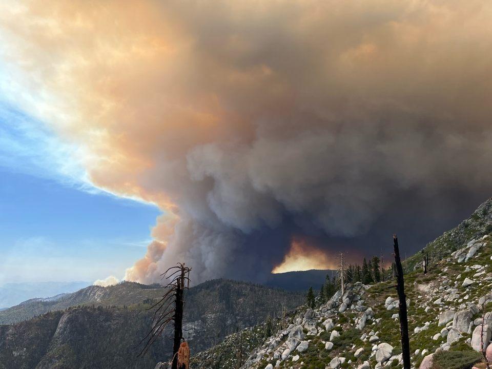 Incendiu de vegetație pune în pericol pădurea millionară de sequoia din California, cu o vechime de peste două milenii / Flăcările din Incendiul Garnet continuă să ardă în Pădurea Națională Sierra de mai bine de două săptămâniea noastră”