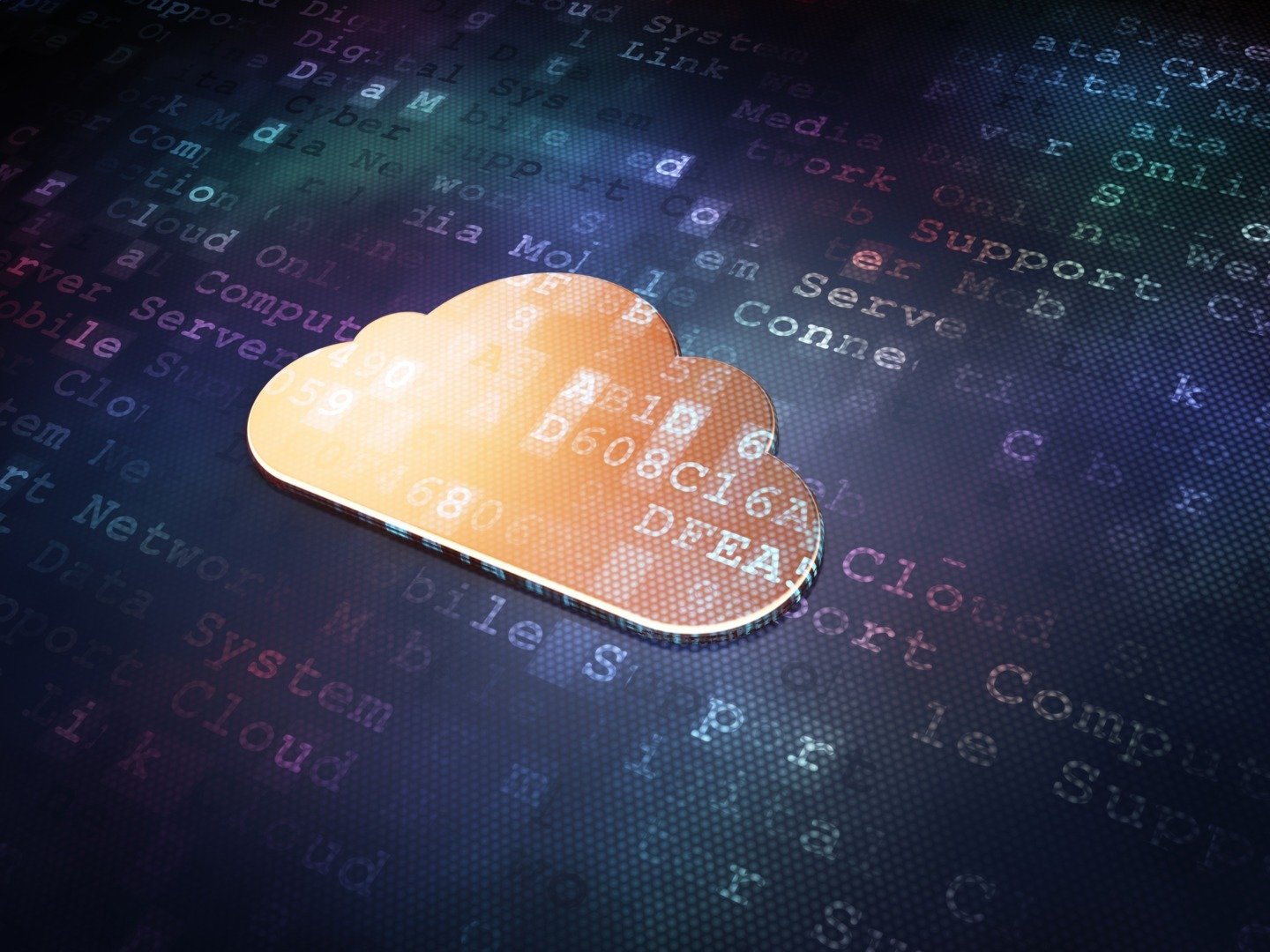 SAP, companie germană, alocă peste 20 de miliarde de euro pentru dezvoltarea unui cloud european „suveran” pentru a face față competitorilor americaniea noastră”
