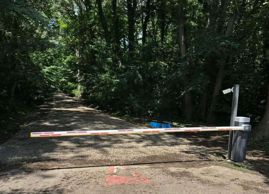 Fostul ministru al Mediului acuză că drumul din Pădurea Băneasa a fost deja preluat de autoturismele unor membri ai elitei din Greenfield.