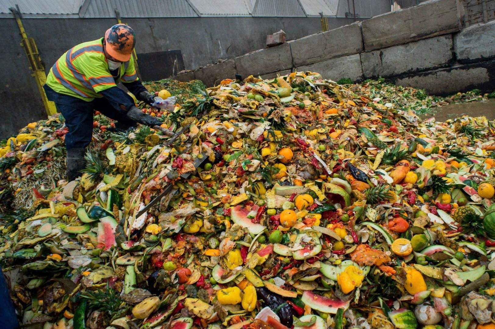 Parlamentul European aprobă măsuri pentru diminuarea risipei alimentare și reducerea deșeurilor textile; în Uniunea Europeană, se aruncă anual 132 kg de alimente per persoanăea noastră”