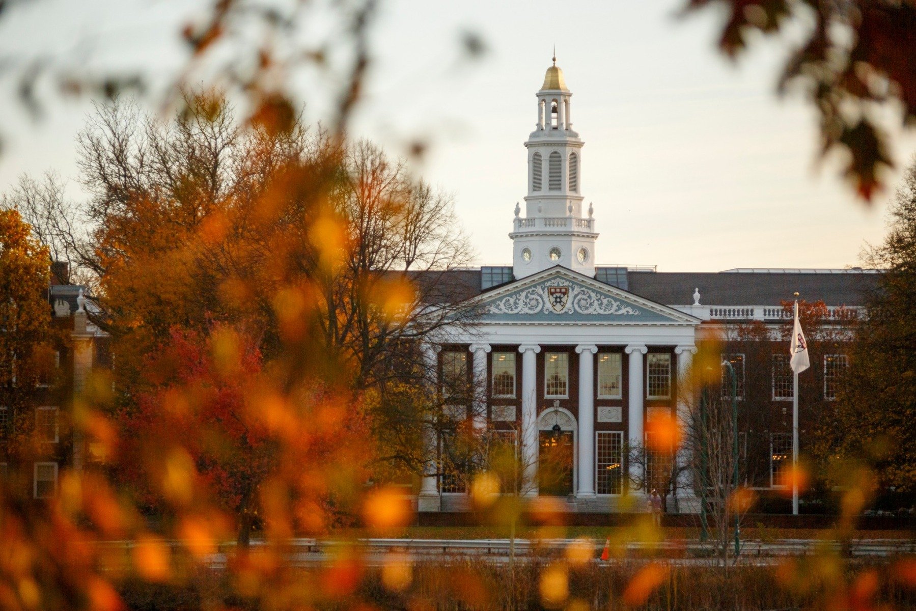 O curte federală din Statele Unite a blocat reducerea finanțării de miliarde de dolari destinată Universității Harvard, impusă de administrația Trumpea noastră”