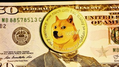 Doge menține reducerea personalului de stat din SUA chiar și după plecarea lui Elon Musk: Cine preia conducerea deciziilor?ea noastră”