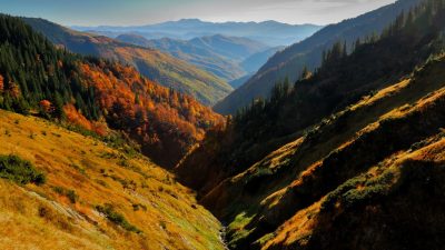Trei adolescenți ucraineni, blocați în Munții Maramureșului, au solicitat ajutor de la echipele de salvare și autoritățile de frontierăea noastră”